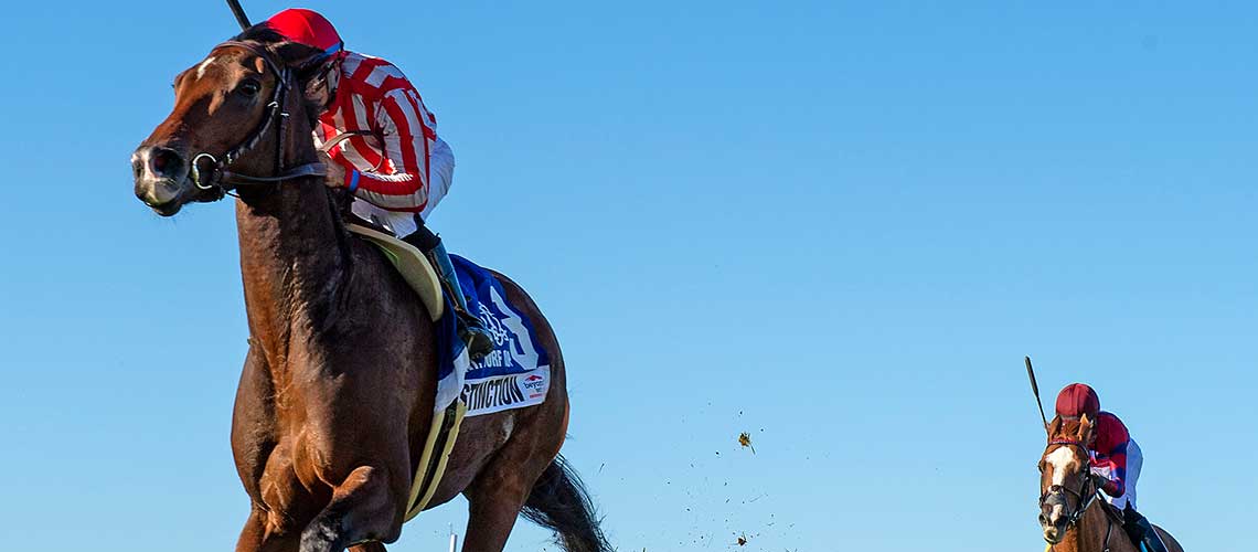 highestdistinction-4936