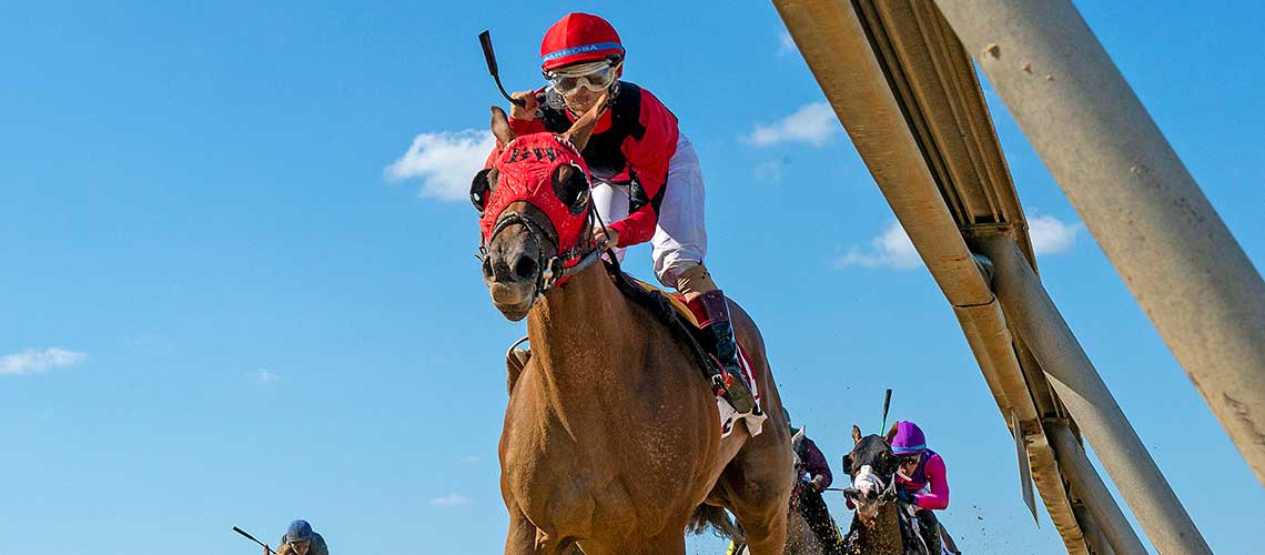 sweet-soddy-j-2023-Tim-Juvy