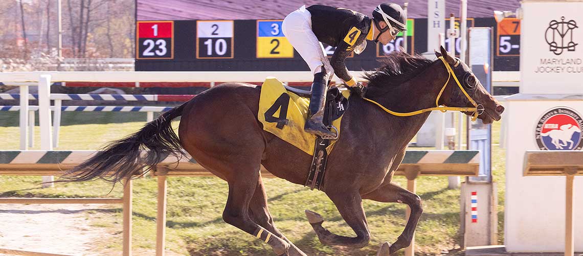 Discreet-Ops-11.16.23