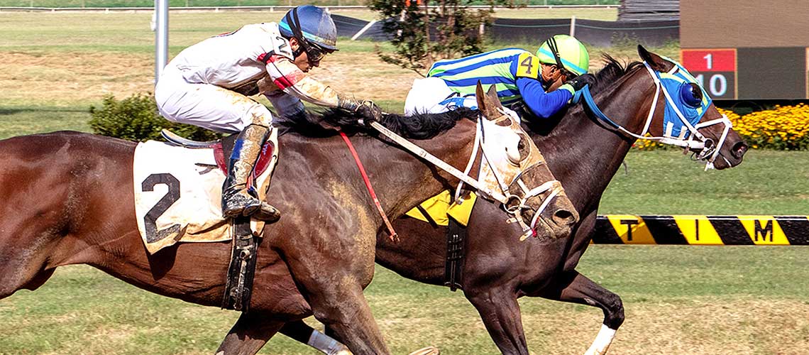 Sweet-Willemina-(inside)-9.4.23