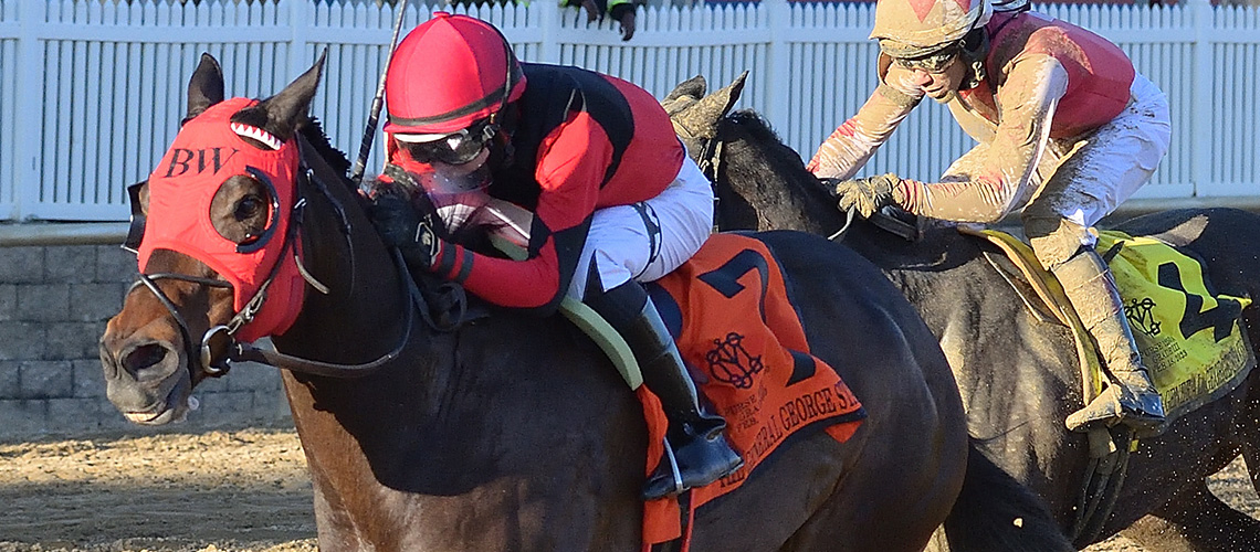 eastern-bay-2023-GGeorge-2