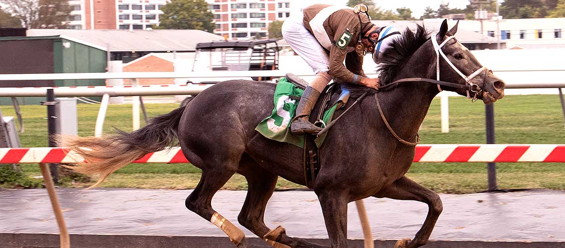 mjc-laurel-Post-Time-9.23.23-city-laurel-preview