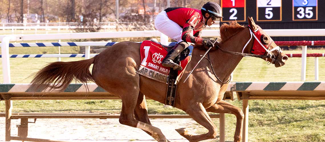 Cap-Classique-2023-SHalo