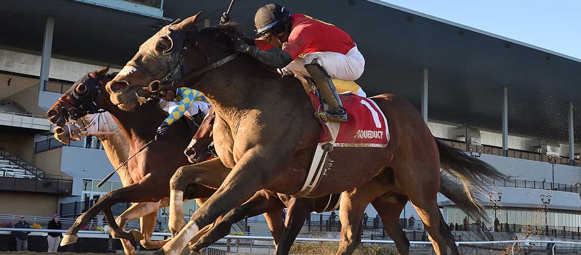 greeley-and-ben-the-fall-highweight3