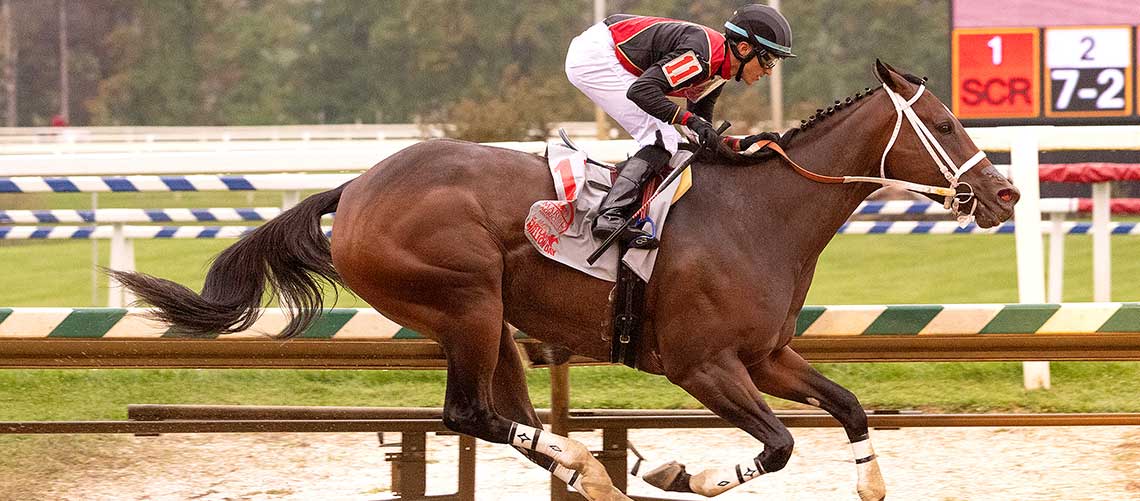 Intrepid-Daydream-2023-MMDistaff