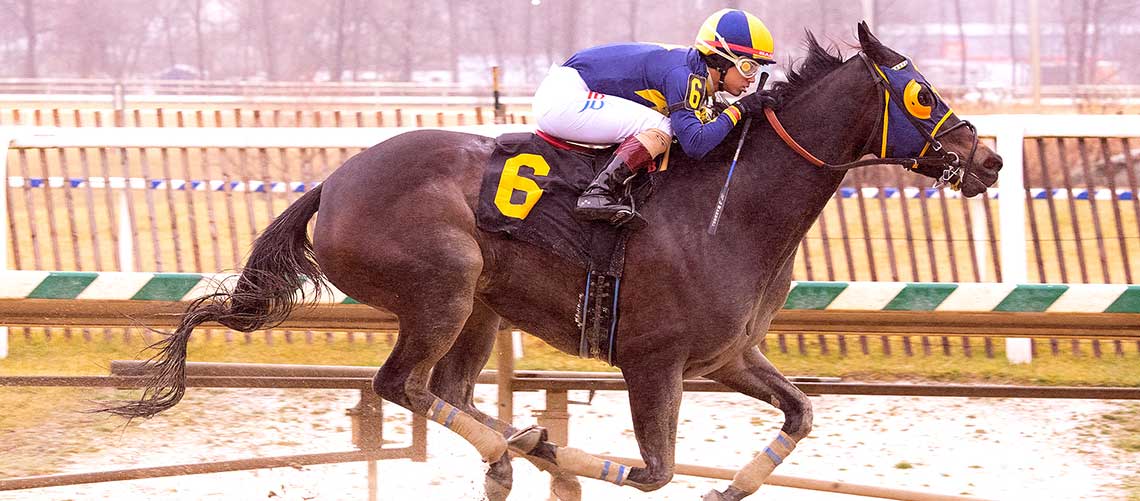 Prodigy-Doll-1.28.24