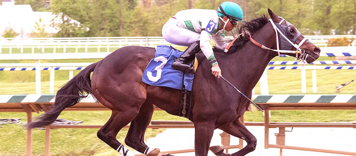 Haileysfirstnotion-4.27.24