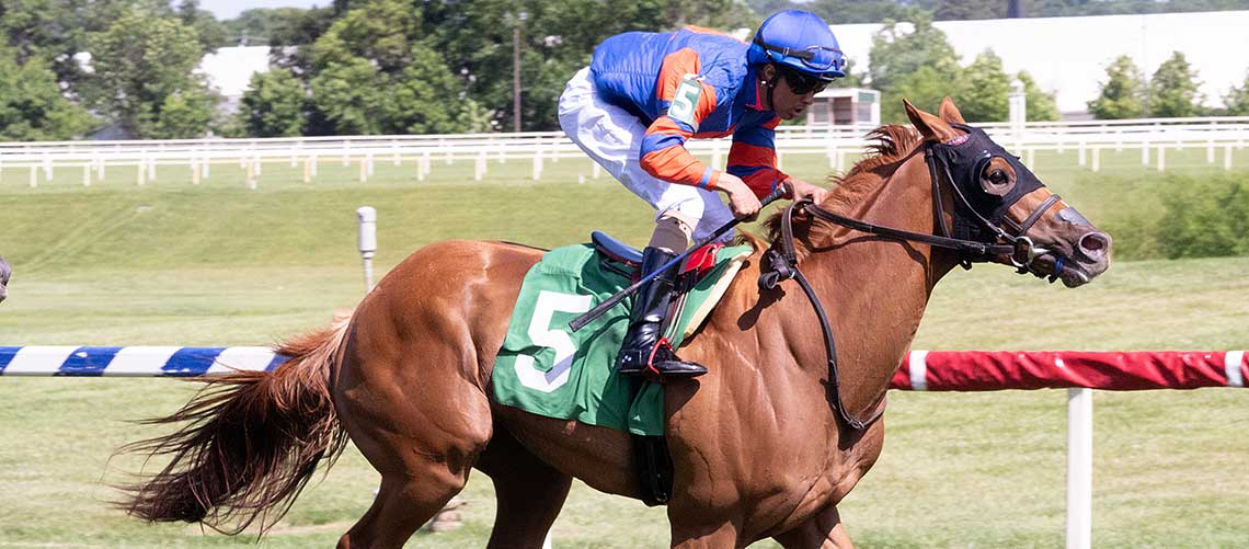 Hardspun-Reason-6.15.24