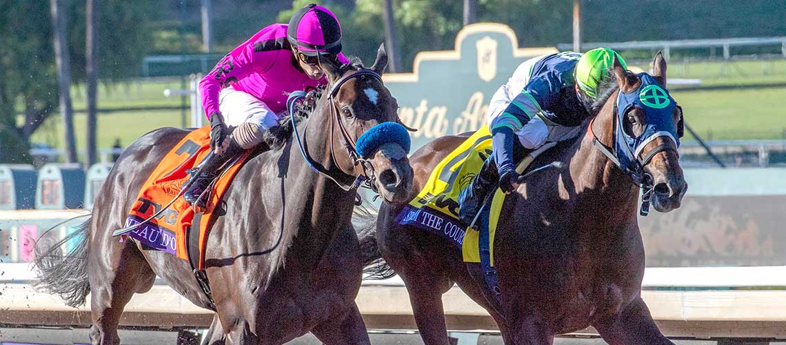 Storm-The-Court-BCJuvy