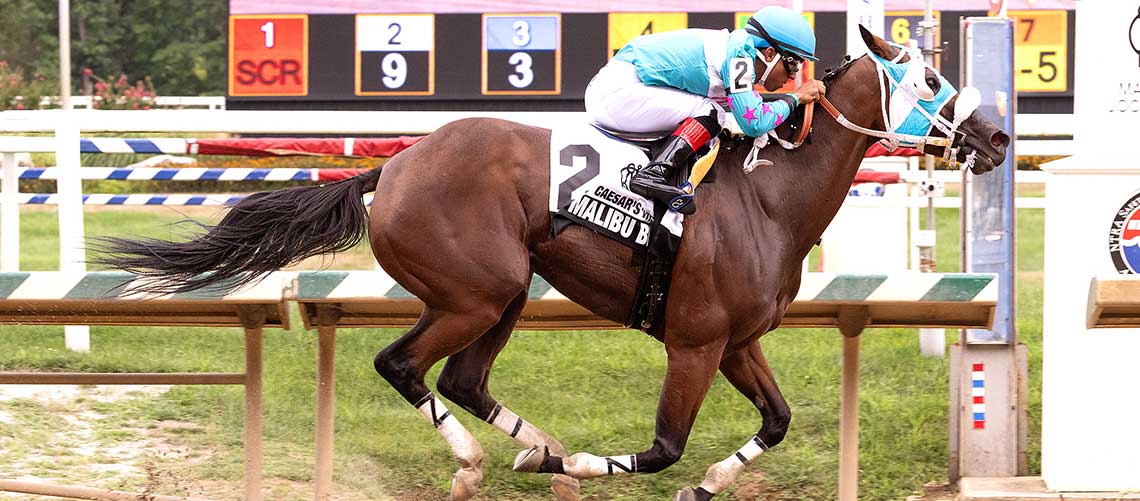 Malibu-Beauty-2024-CWish