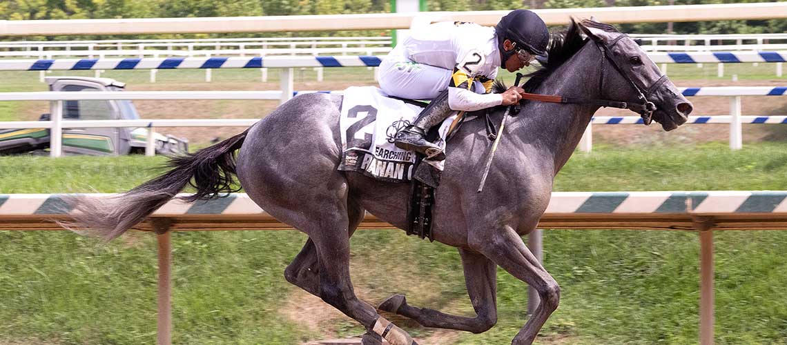 Roanan-Goddess-2024-Searching