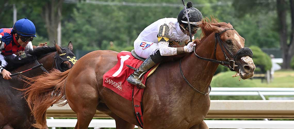 studlydoright-2024-tremont