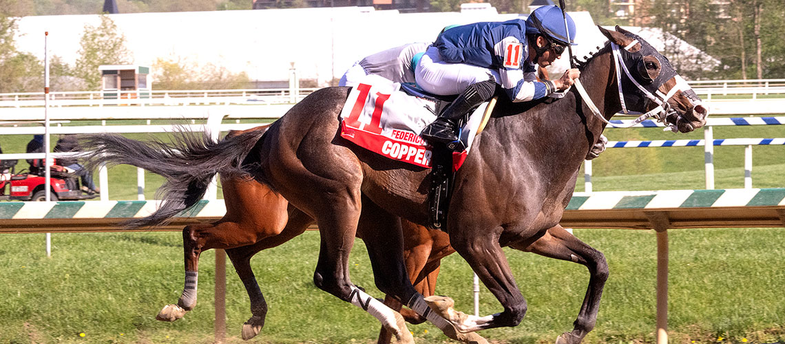 Copper-Tax-2024-Tesio-wire