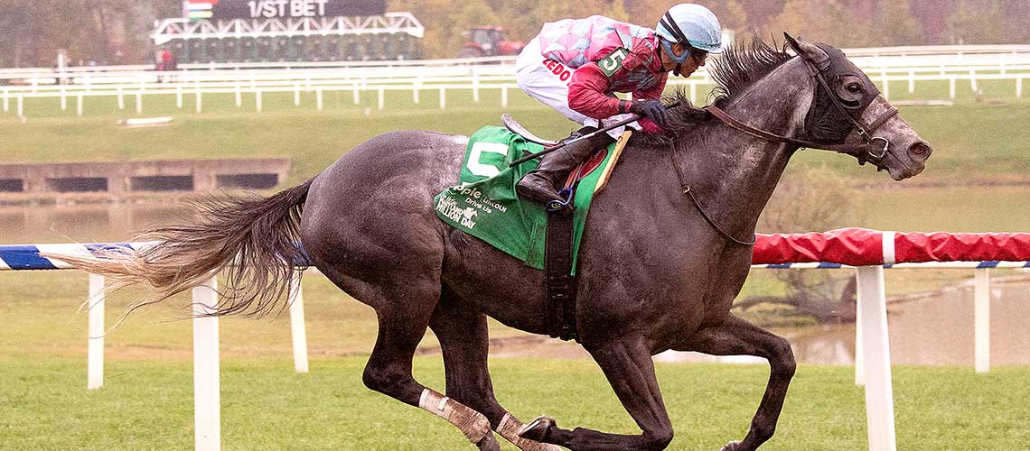 Witty-2023-MMT-Sprint