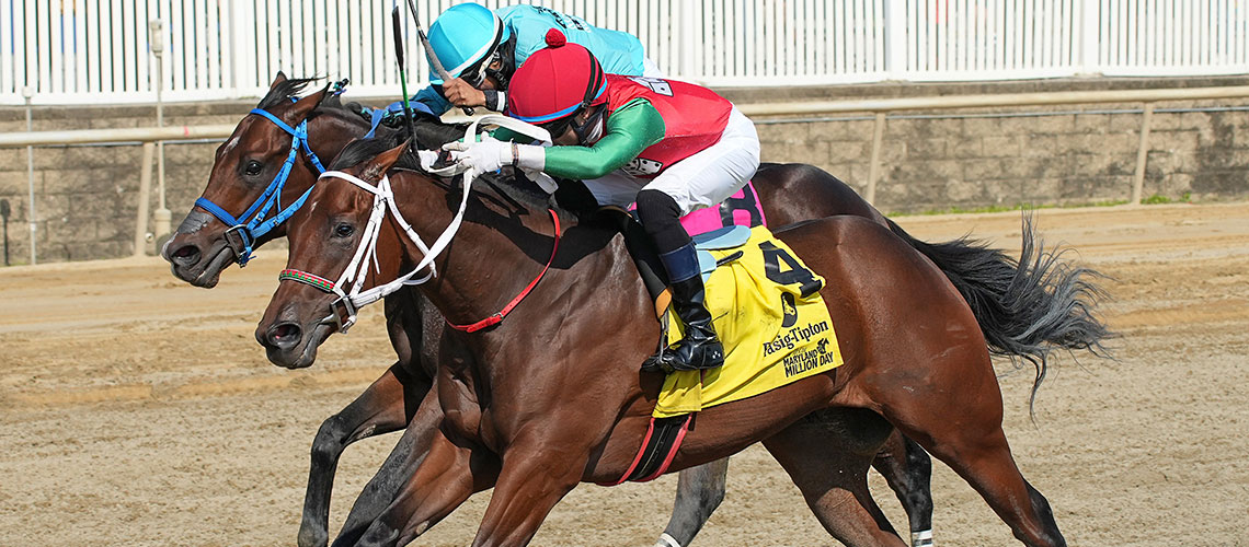 Do-It-for-Michael-2024-Nursery