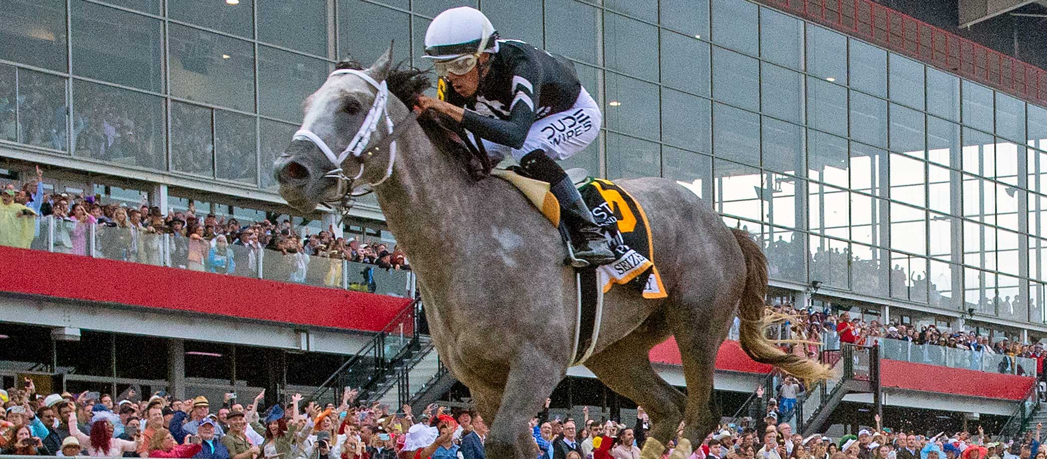 sieze-the-grey-_8690