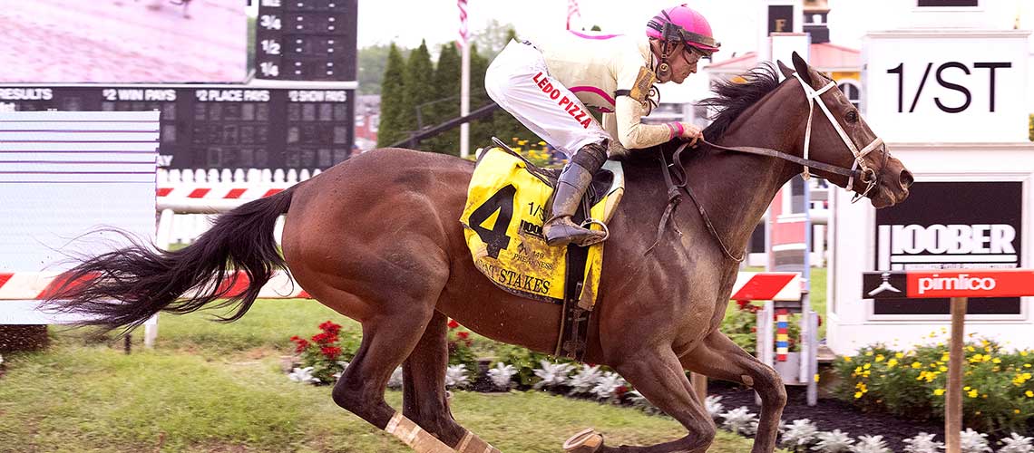 Apple-Picker-24-Skipat