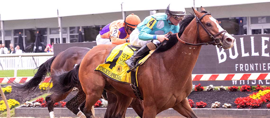 Pyrenees-2024-Pim-Special