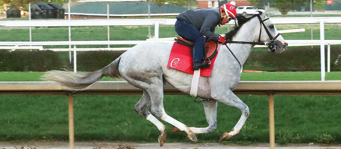 Sandman---Work---Churchill-Downs---04-15-25