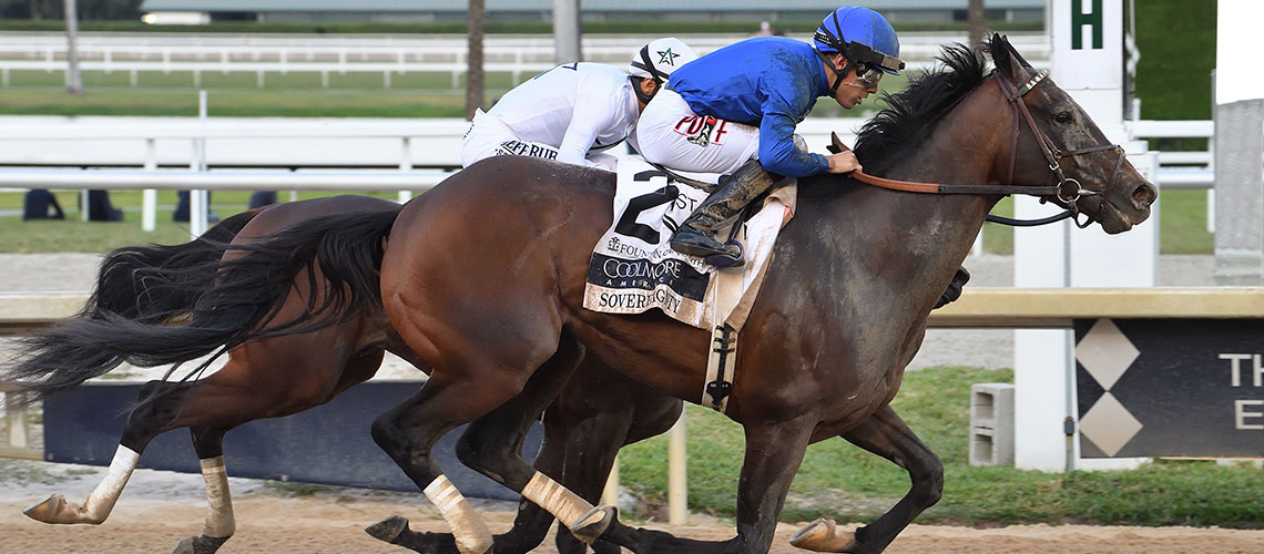 Sovereignty-the-FOY-p